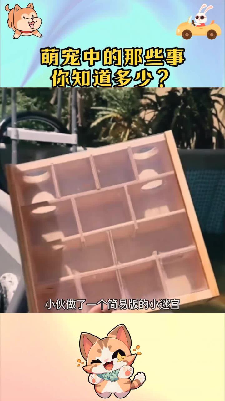你被金鱼的奇妙记忆洗脑了么：有人专门做了实验，想了解鱼的记忆是不是真的是七秒，结