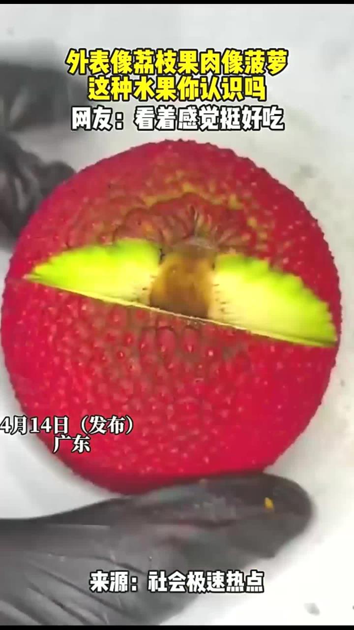 外表像荔枝果肉像菠萝,这种水果你认识吗,网友:看着感觉挺好吃
