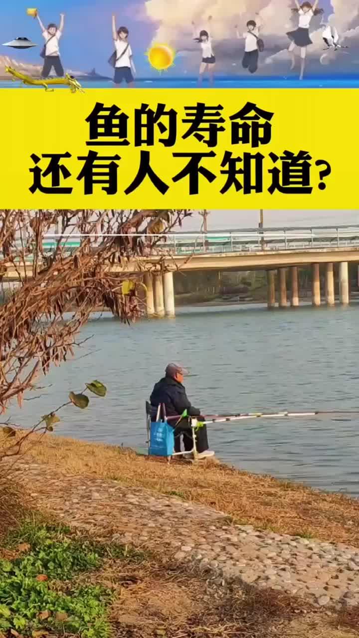 常见鱼类的寿命