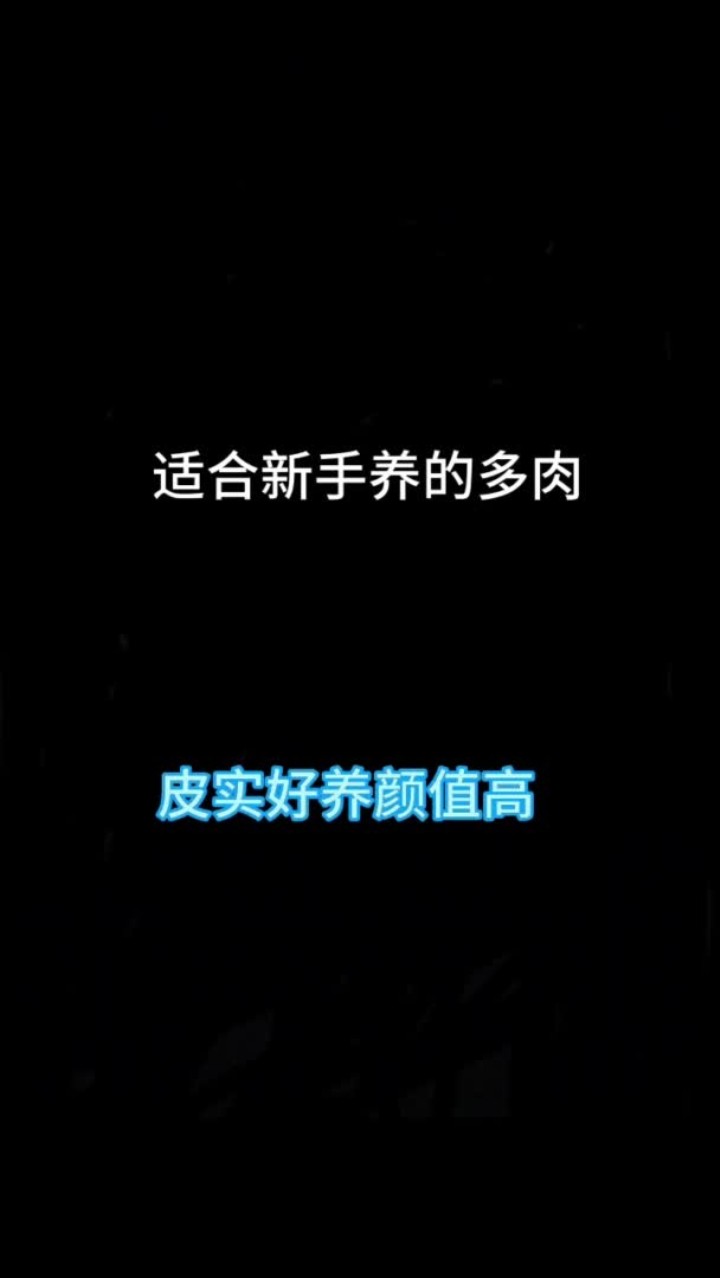 今天给咱们推荐几款适合新手朋友养的多肉，皮实好养颜值高