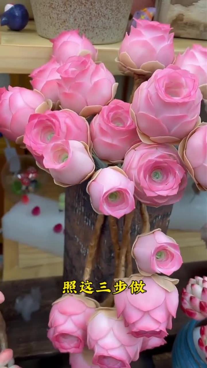 多肉如何养成老桩,记住三个小技巧