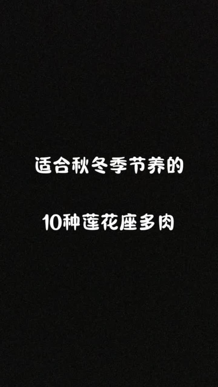 10款莲花座的多肉，你最喜欢哪款？