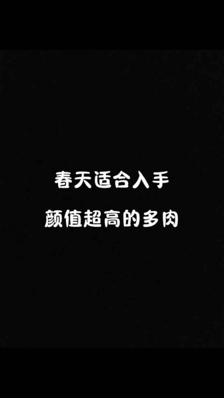 给花友们推荐一下春天适合入手的高颜值多肉