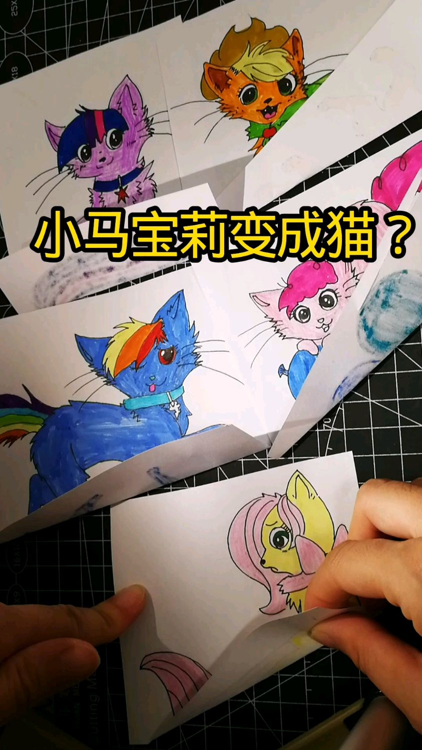 小马宝莉变成猫