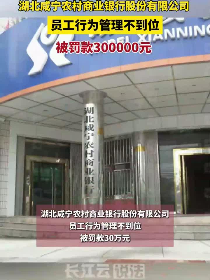 湖北咸宁农村商业银行股份有限公司被罚款30万元