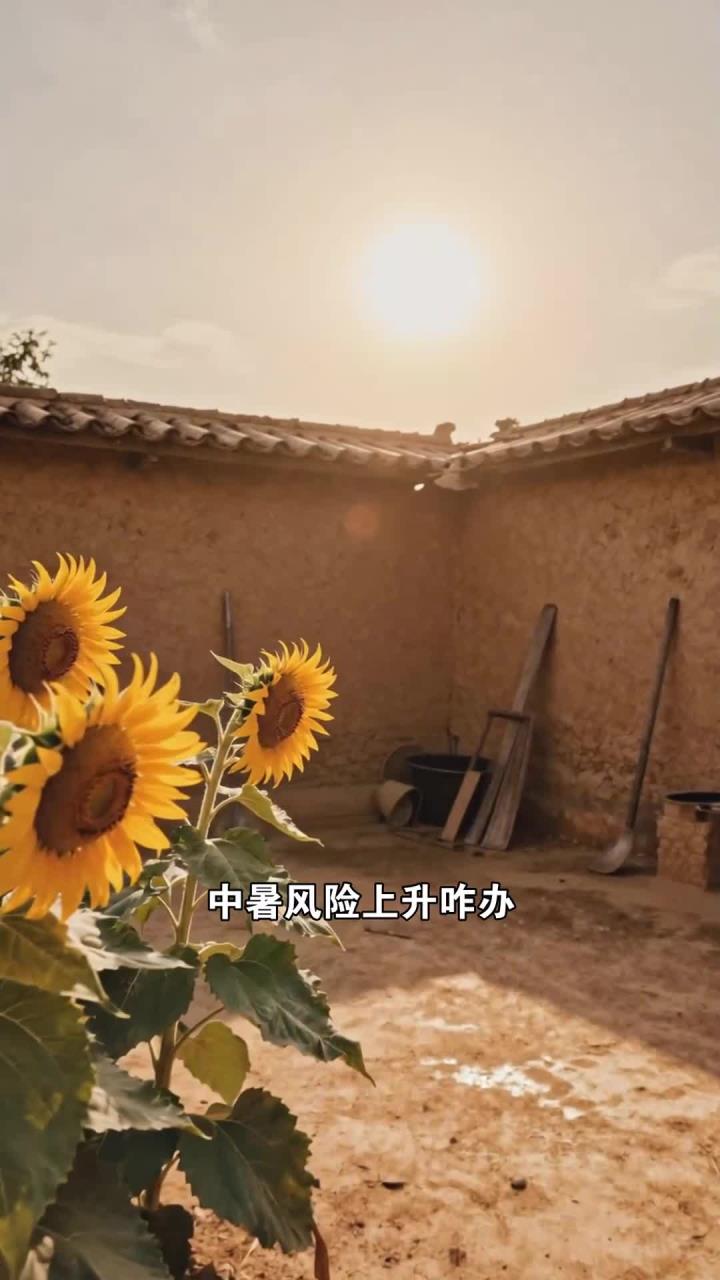 煮荷叶粥 + 解暑降温 + 高温天不中暑