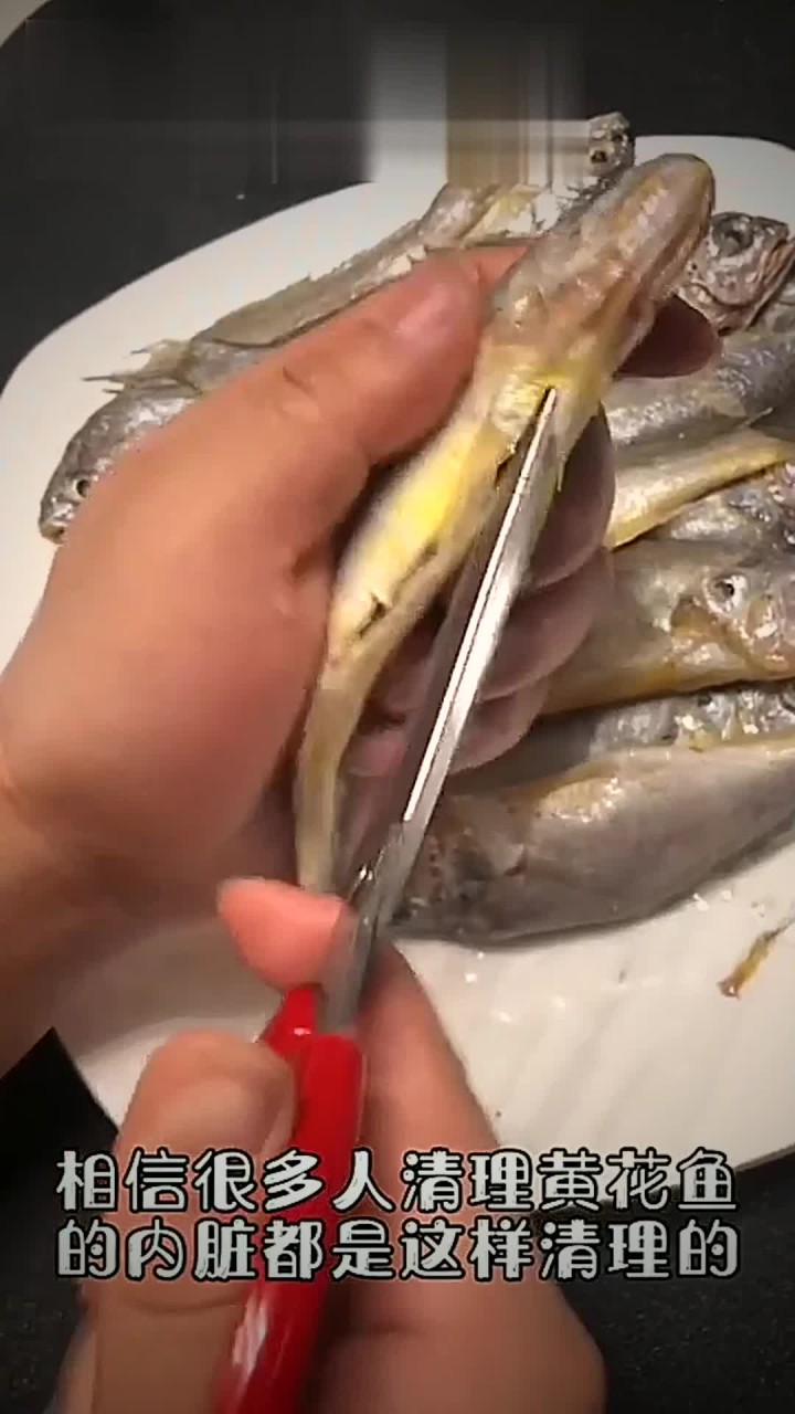 分享视频