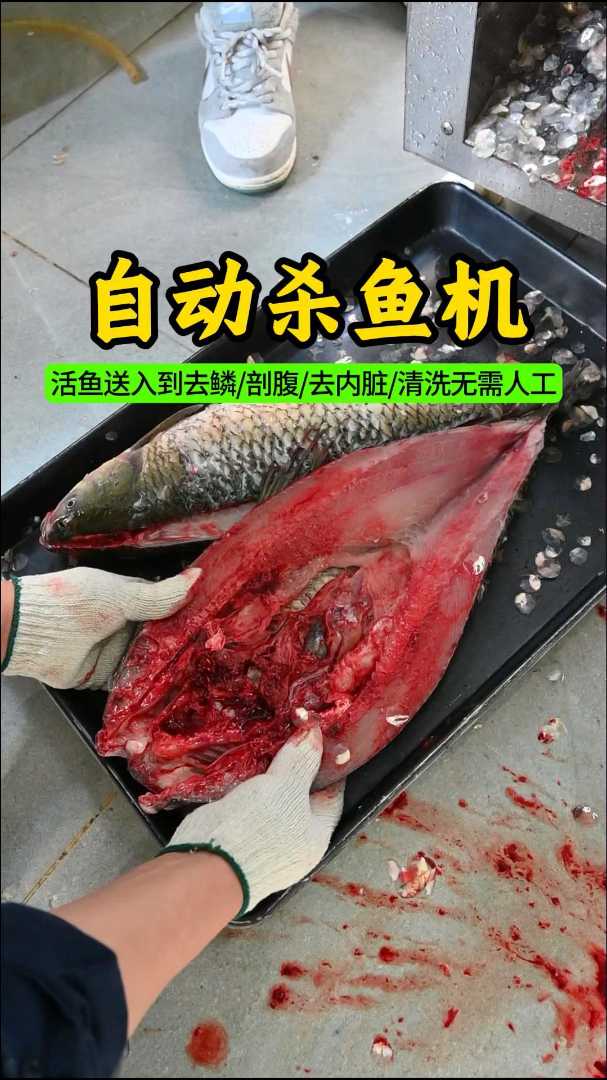 自动杀鱼机