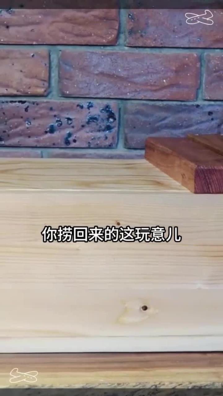 女孩错把娃娃鱼卵当蝌蚪带回家养,5天后,水池里传来孩子哭声