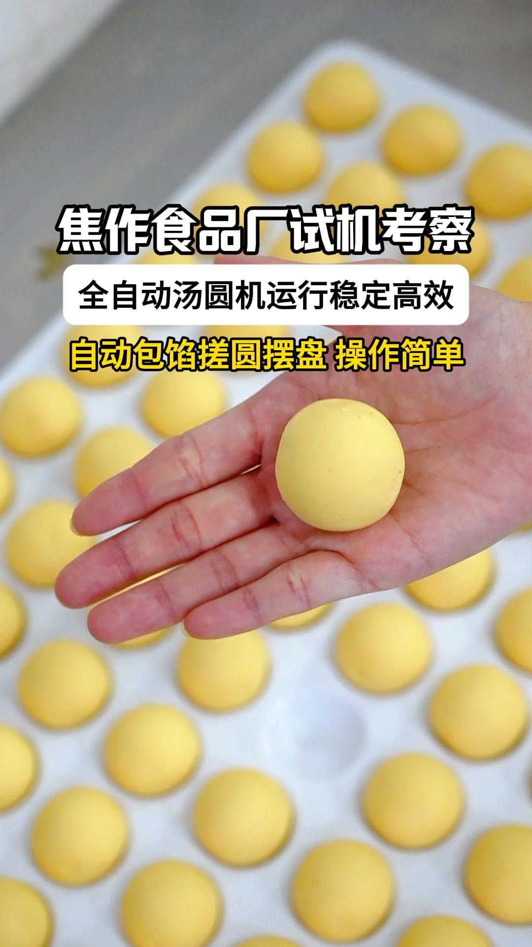 焦作食品厂试机考察中，全自动汤圆机运行稳定高效，自动包馅摆盘