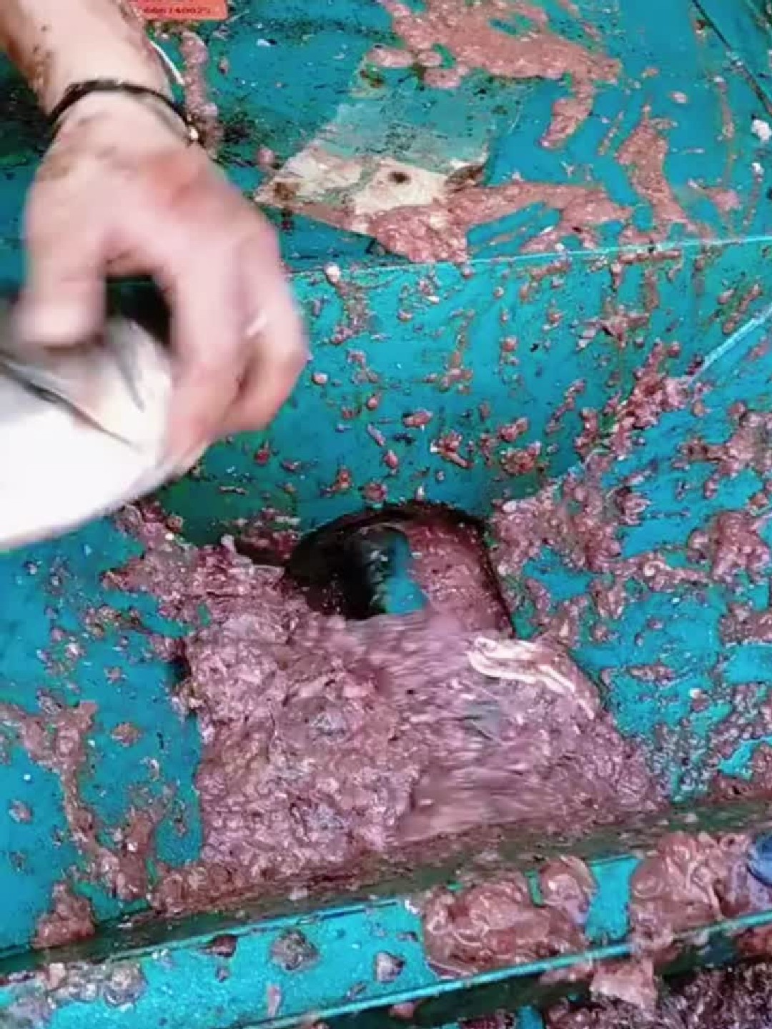 鱼丸鱼豆腐，就是这样做的
