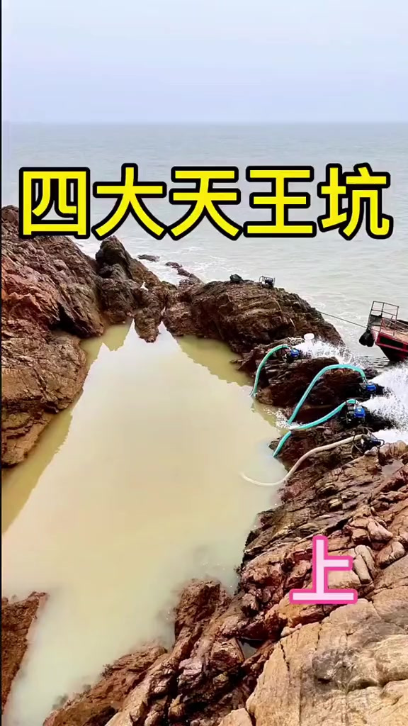 四天王带4台重炮轰炸巨坑 炸出鲨鱼龙虾 300一斤淡水鳗鱼,狂赚5000多元