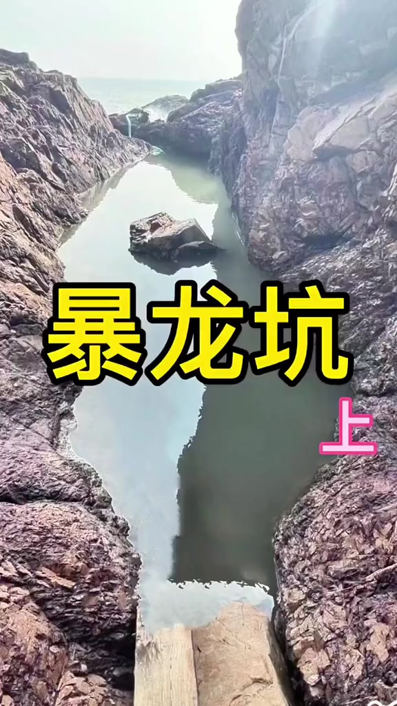 精心预备的年货打窝 引来值钱狗鲨出没 鱼获爆桶重达上百斤，统统送给粉丝就是任性