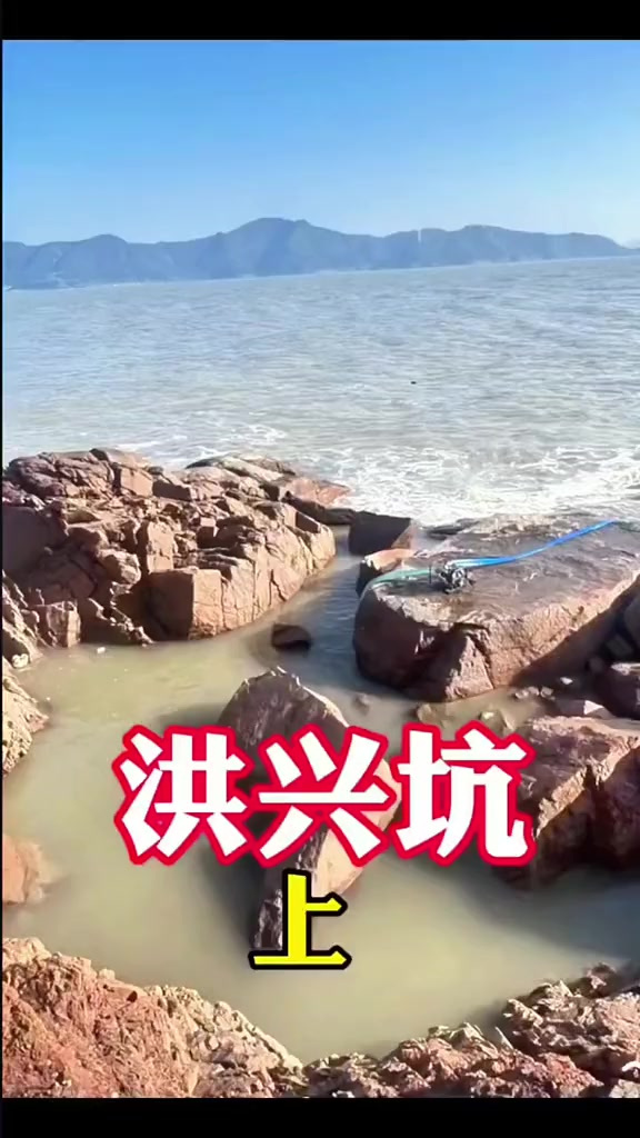 十斤鱿鱼打窝 昂贵三刀石鲷鱼聚窝 巨型八爪出没,鱼获大卖3000元