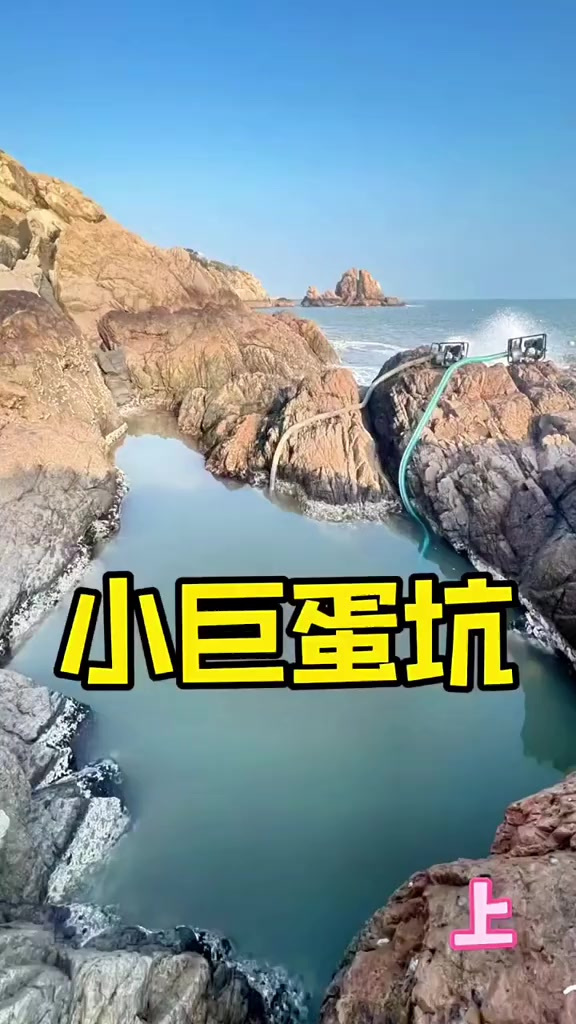 不生蛋的肥鸭打窝 引鲨鱼大青龙结队成群,鱼获爆桶高达4000元