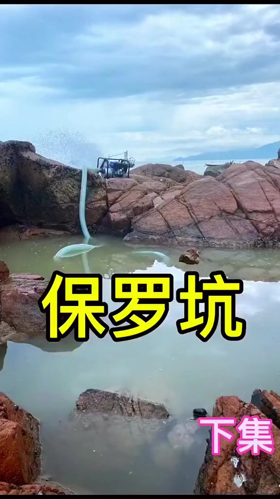 八爪鱼打窝,力擒鲨鱼 勇斗鳗鱼 大获全胜