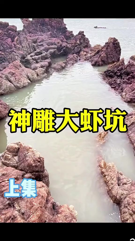 活饵打窝 惊现巨型魔鬼鱼 海鲈鱼泛滥成灾,简直不要太幸福