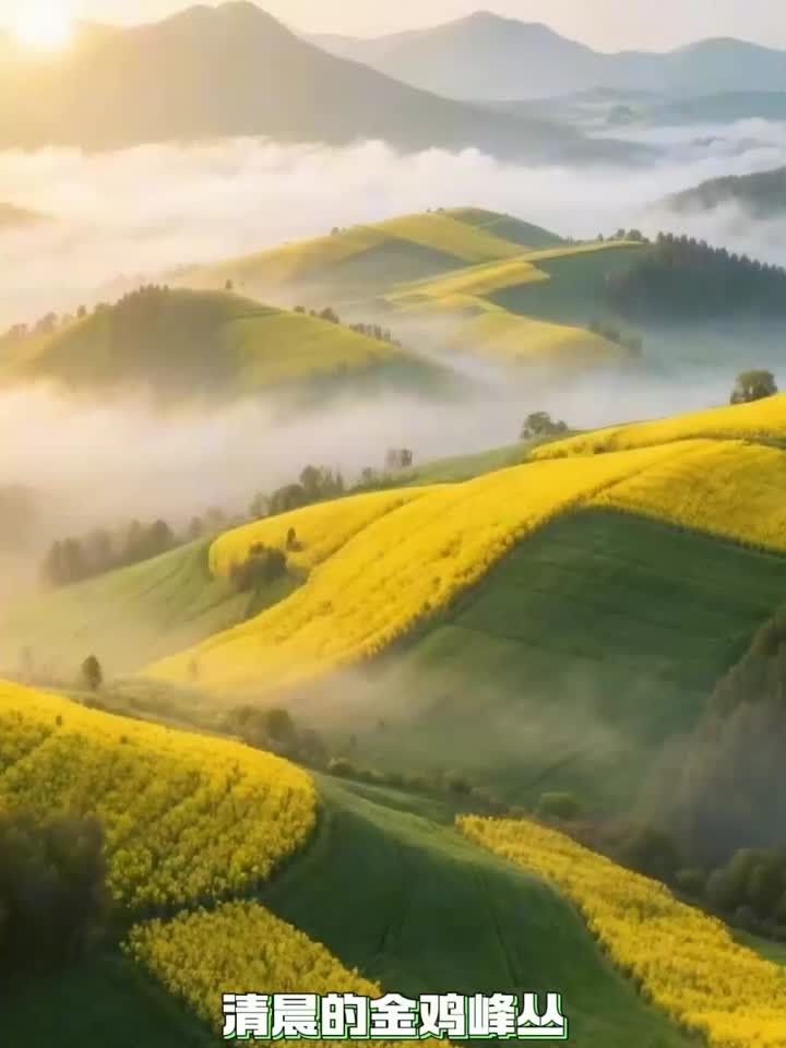 罗平金鸡峰丛油菜花，滇东踏春自驾全攻略