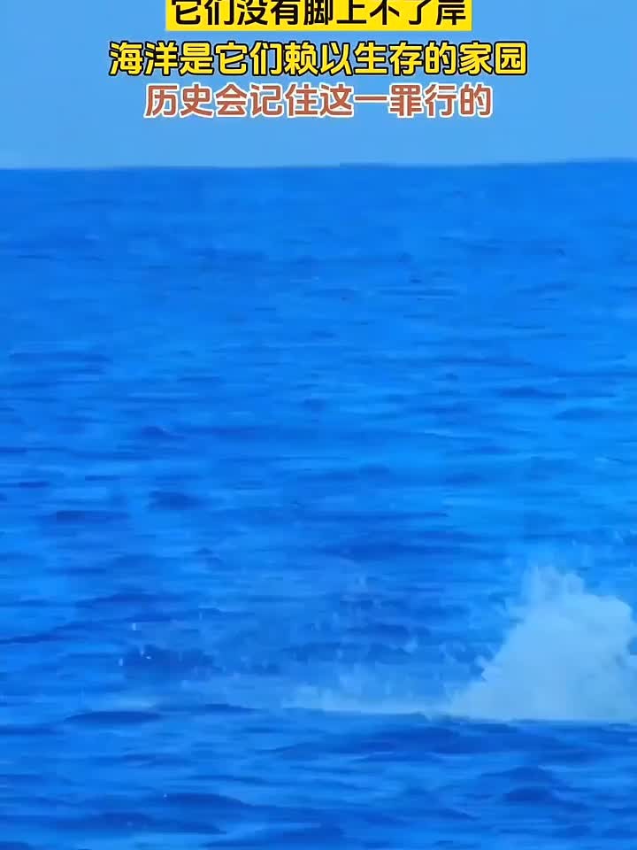 日本核废水排海,直接威胁海洋生物,或许我们以后再也见不到健康