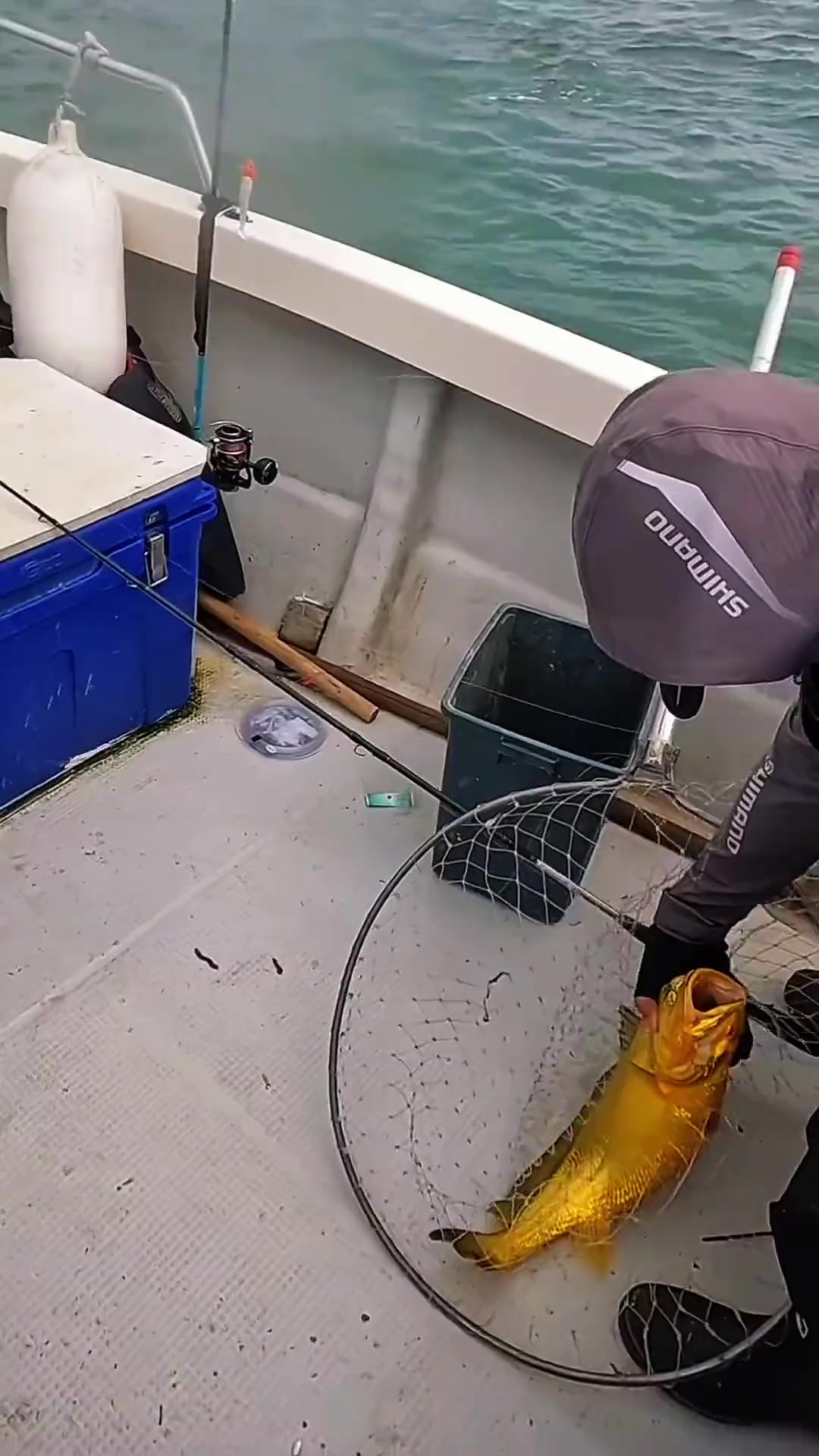 分享科普24种海鱼以及价格，你都吃过几种？