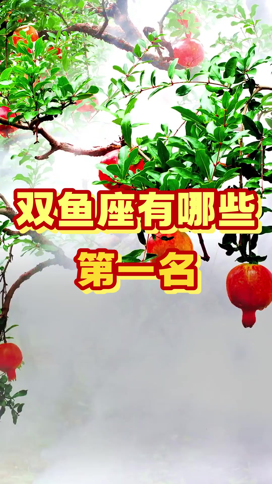 双鱼座有哪些第一名!