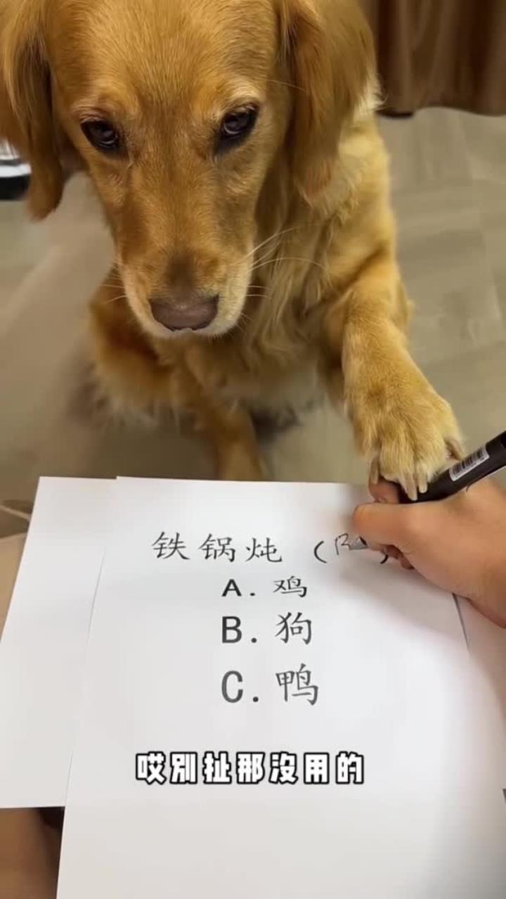 铁锅炖大鹅