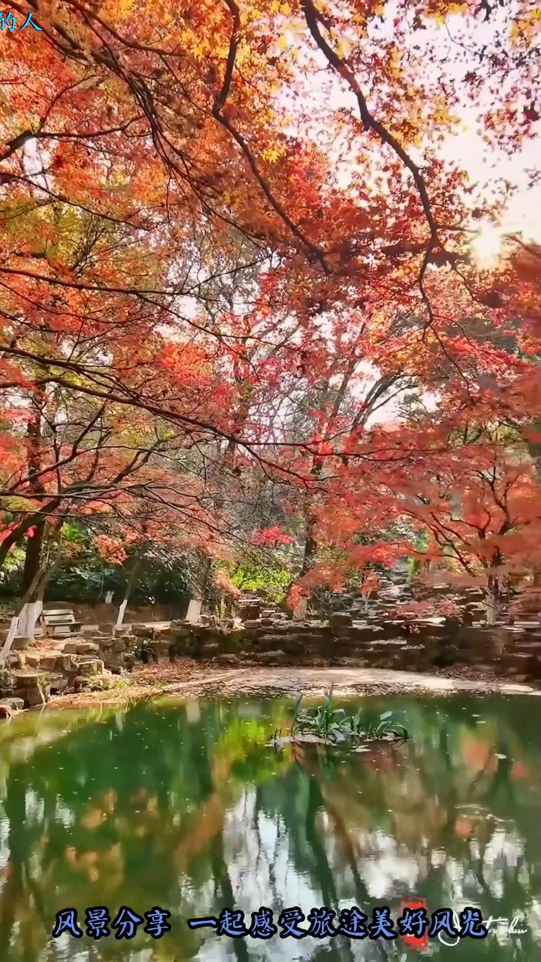 旅游推荐,冬日暖阳,带你去看一幅精彩绝伦的油画虞山湖心亭,人