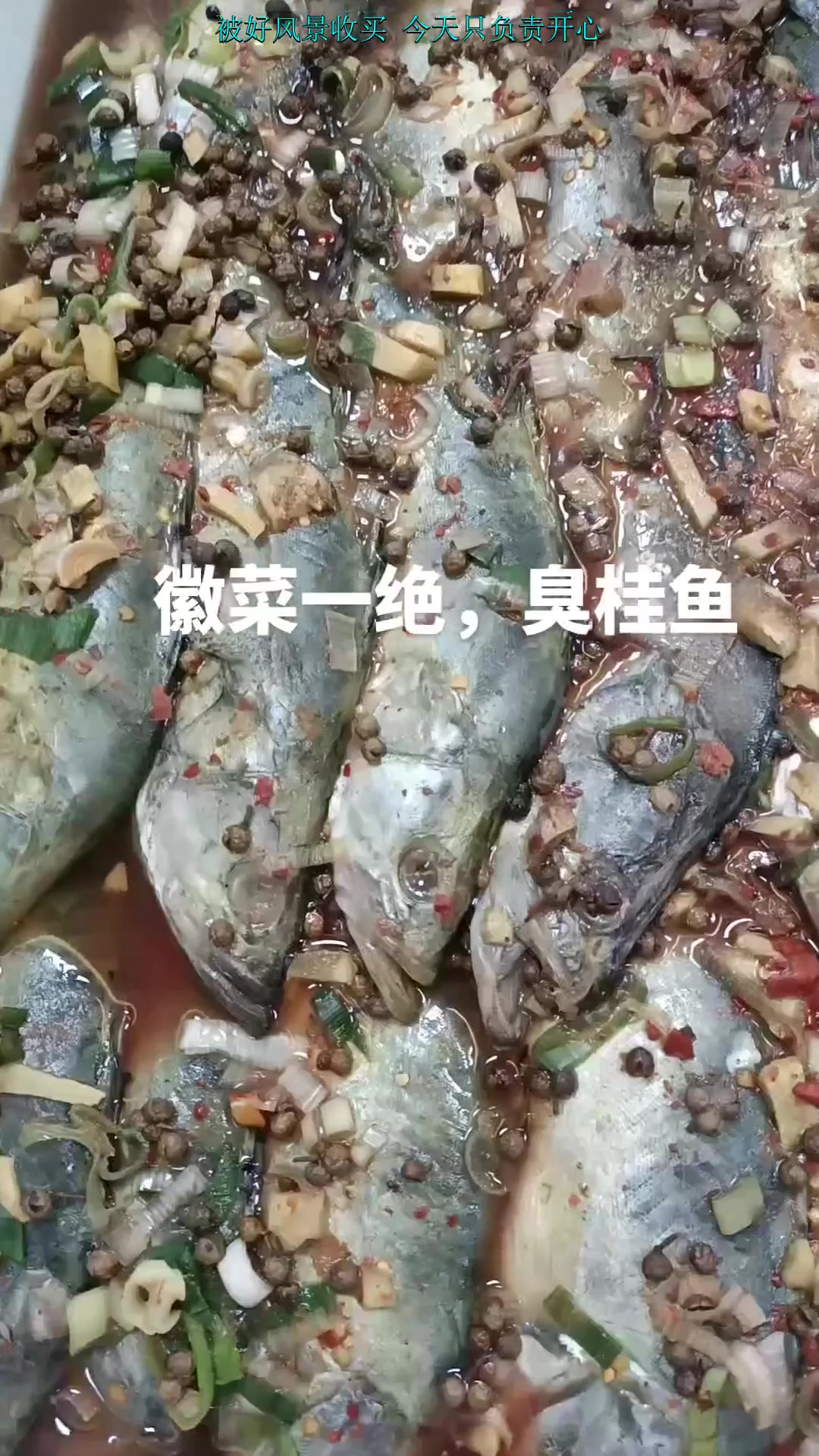 初冬去旅行,年年有鱼,旅行推荐,旅行推荐