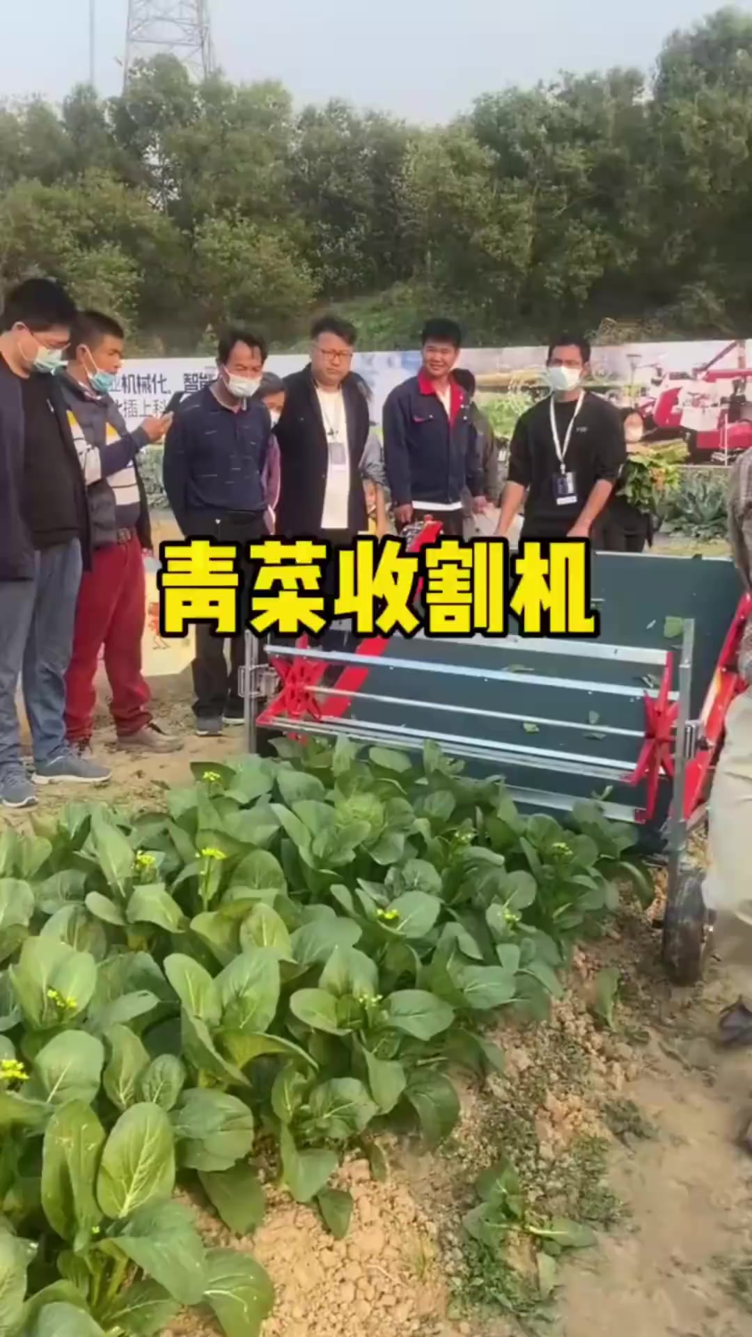 新型收割机引领农业革命,科技改变生活高效收割蔬菜的未来