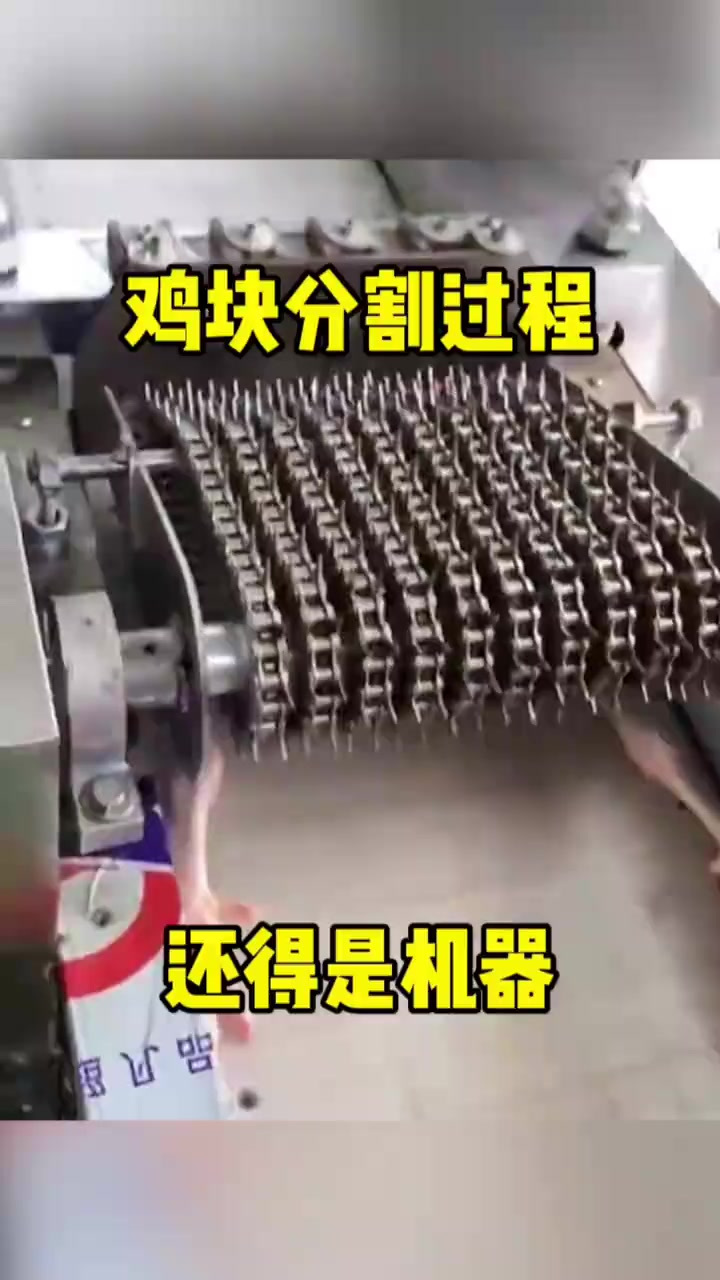揭秘鸡块制作流程:剁碎机器的神奇与鸡油味的秘密