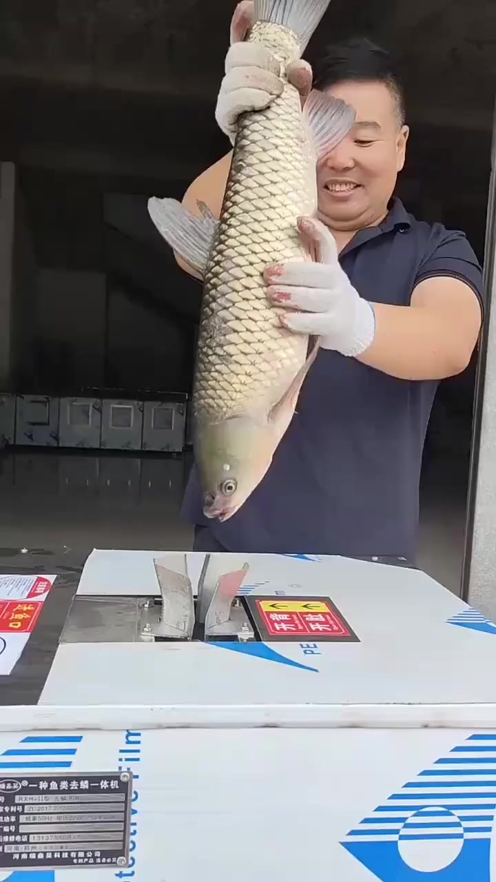 杀鱼神器,自动去鳞开背