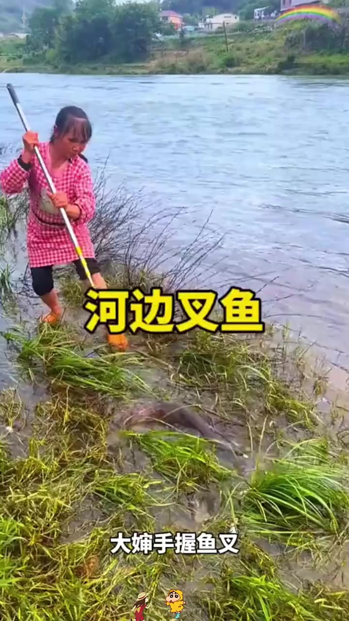 大婶手握鱼叉在河边叉鱼