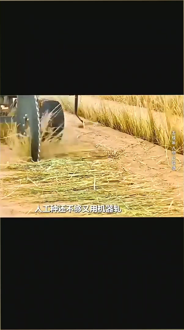 精选红酒宁夏贺兰山东麓红葡萄酒赤霞珠半甜红酒6瓶750ml