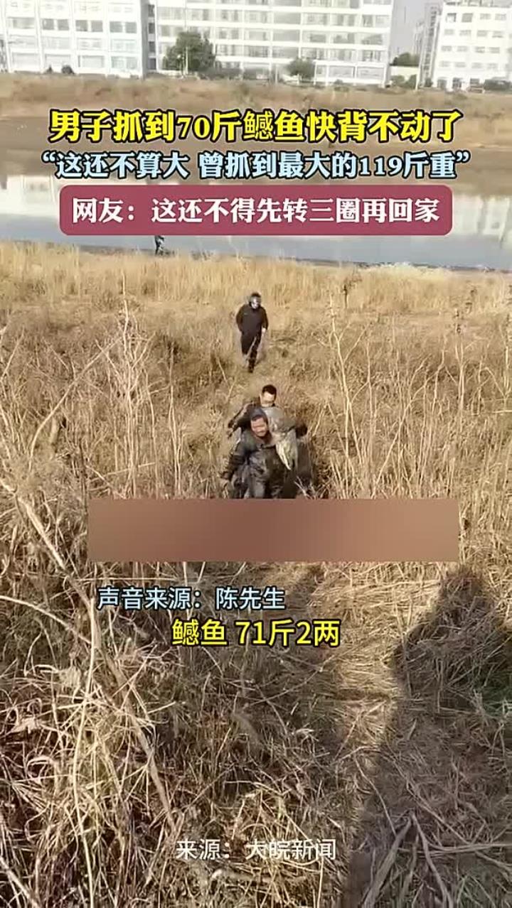 男子抓到70斤鳡鱼快背不动了 “这还不算大 曾抓到最大的119斤重”网友：这还不得先转