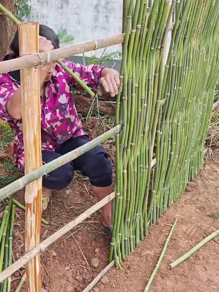 菜园围竹篱笆,编制技巧