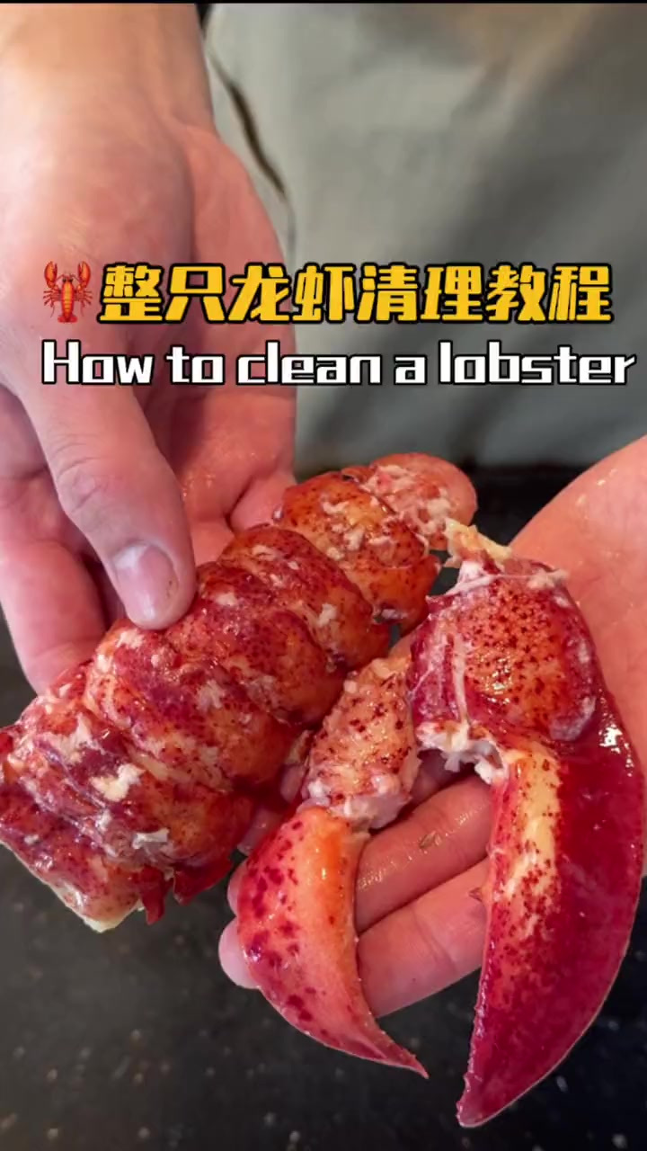 今天来教给大家如何处理和清理鲜活的龙虾!加拿大是龙虾出口大国