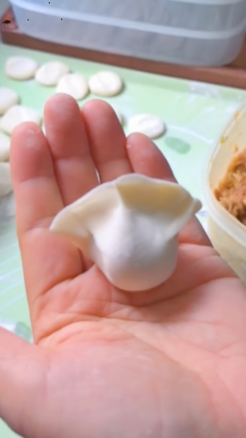 家庭包饺子的七种手法