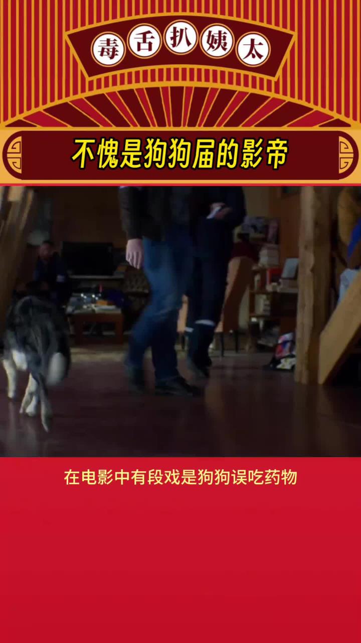 狗狗精湛的演技加上炸裂的口碑!这部电影我真的要狠狠冲!