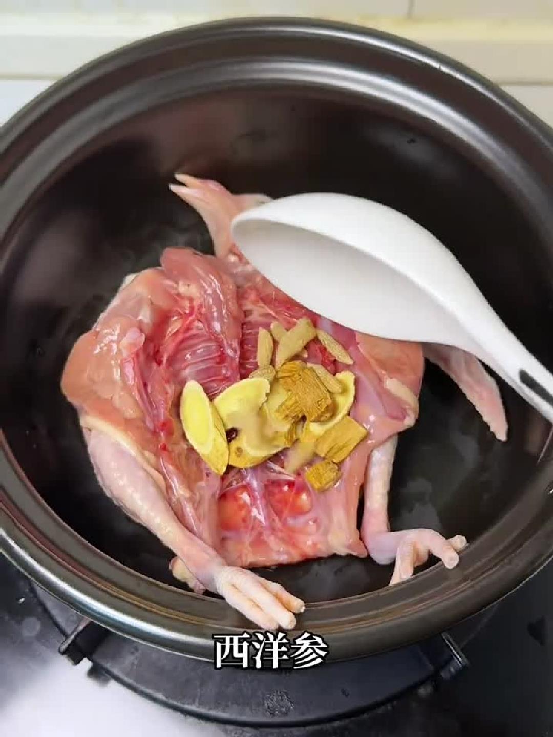鸽汤一炖气血足，鲜香软烂全家补！