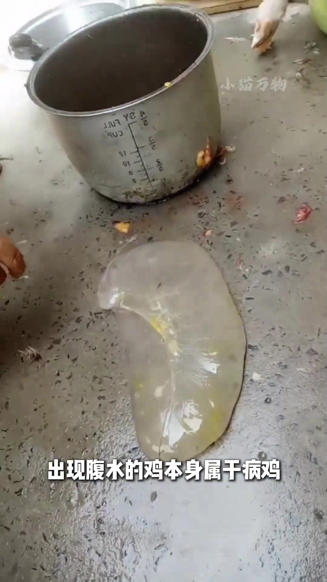 这些鸡都能吃吗.......