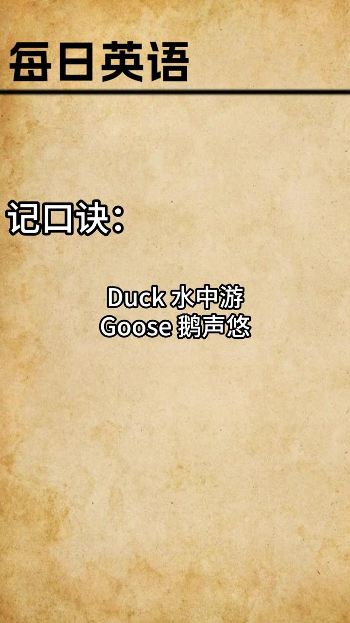一个英语单词每天,这个视频教你掌握