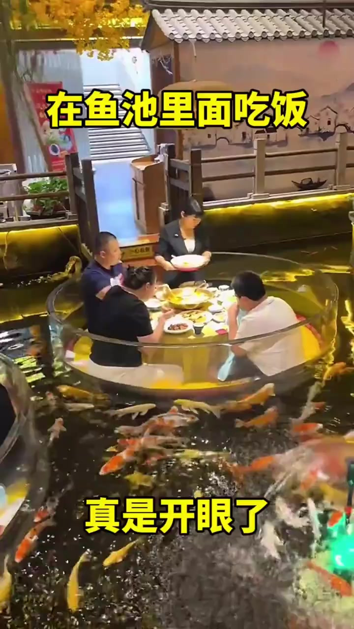在鱼池里面吃饭,真是开眼了