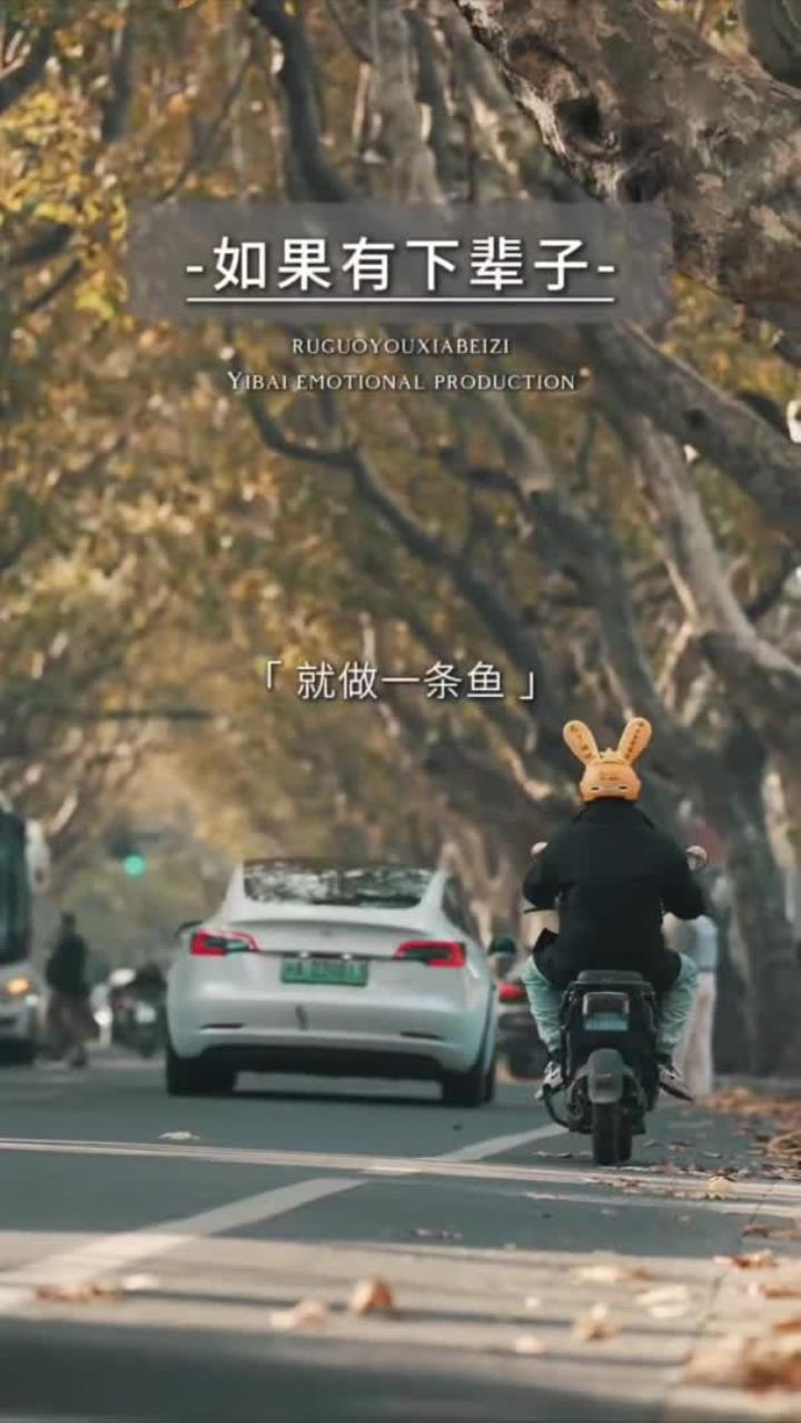 如果有下辈子,就做一条鱼