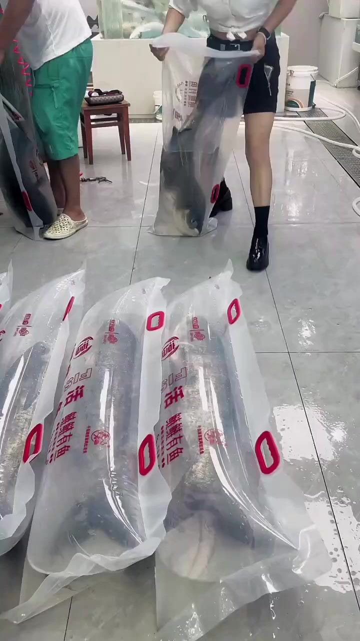 活鱼自动打包机械