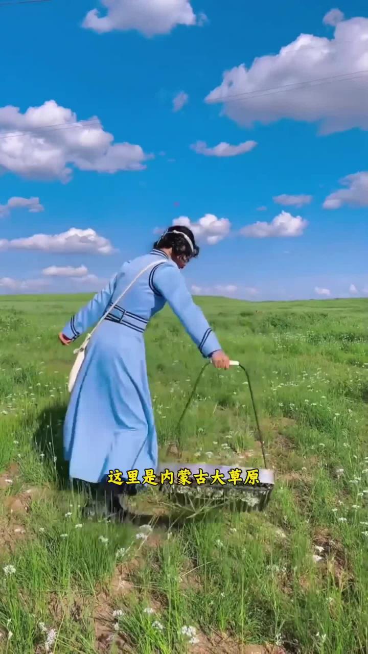 内蒙古野生韭菜花酱