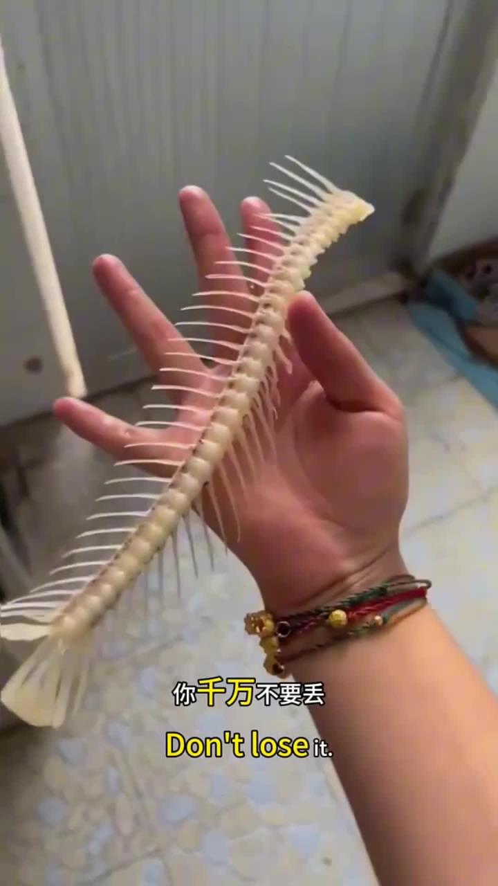 女子用鱼骨做手串,还挺好看的