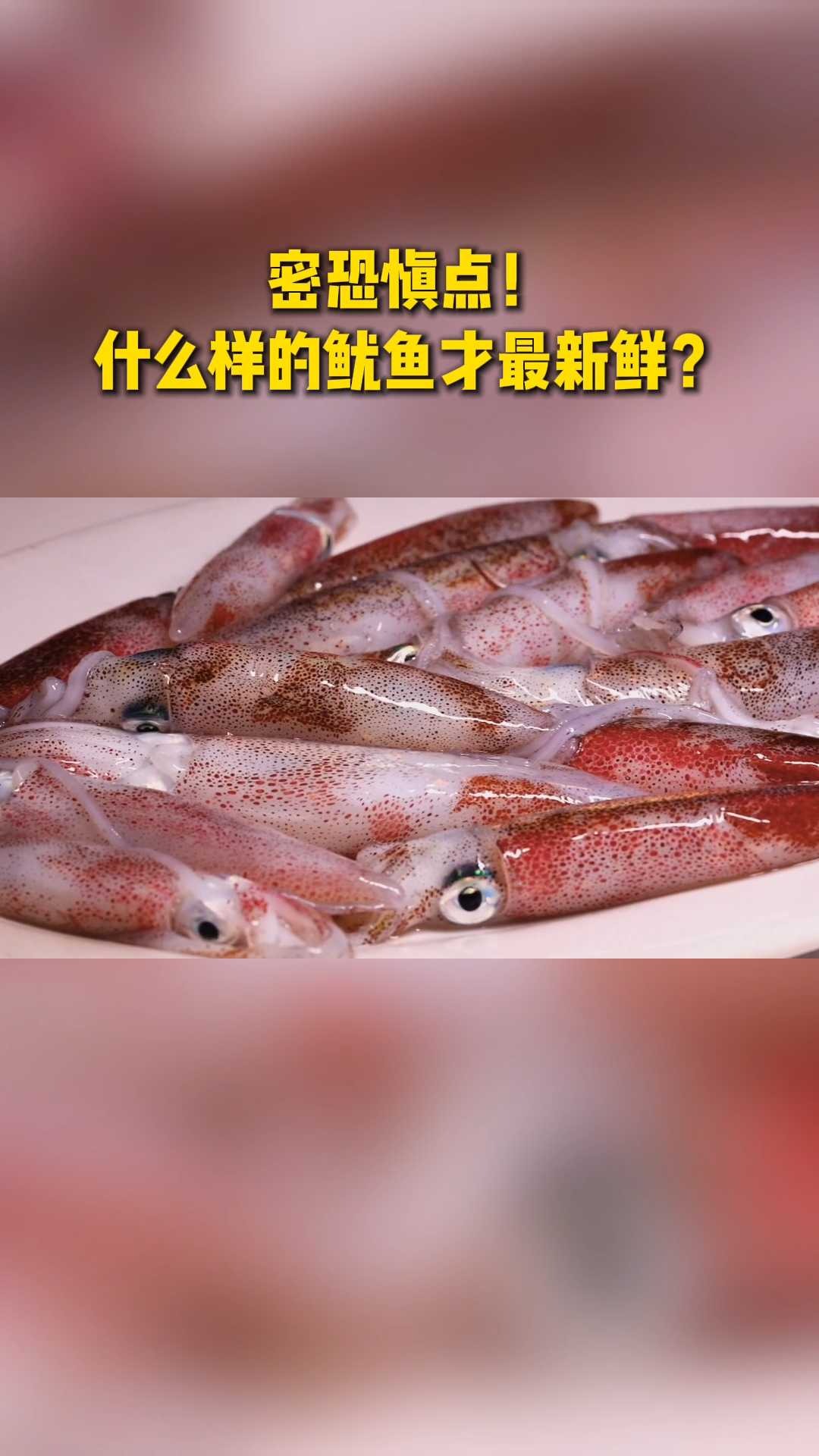 密恐慎点！什么样的鱿鱼才最新鲜？