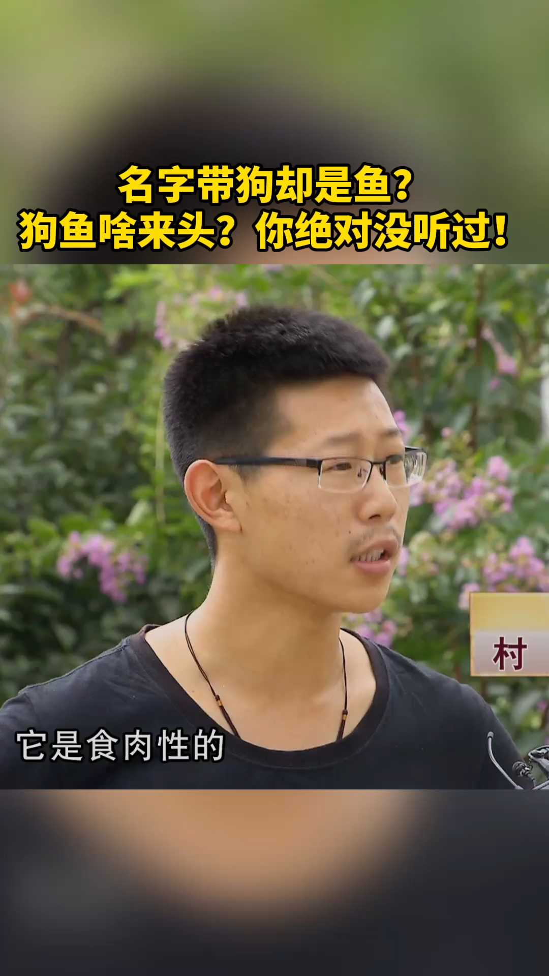 名字带狗却是鱼？狗鱼啥来头？你绝对没听过！