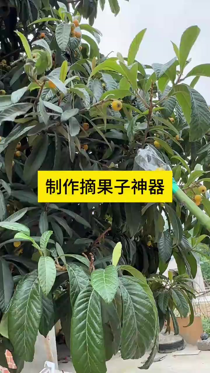 制作摘果子神器