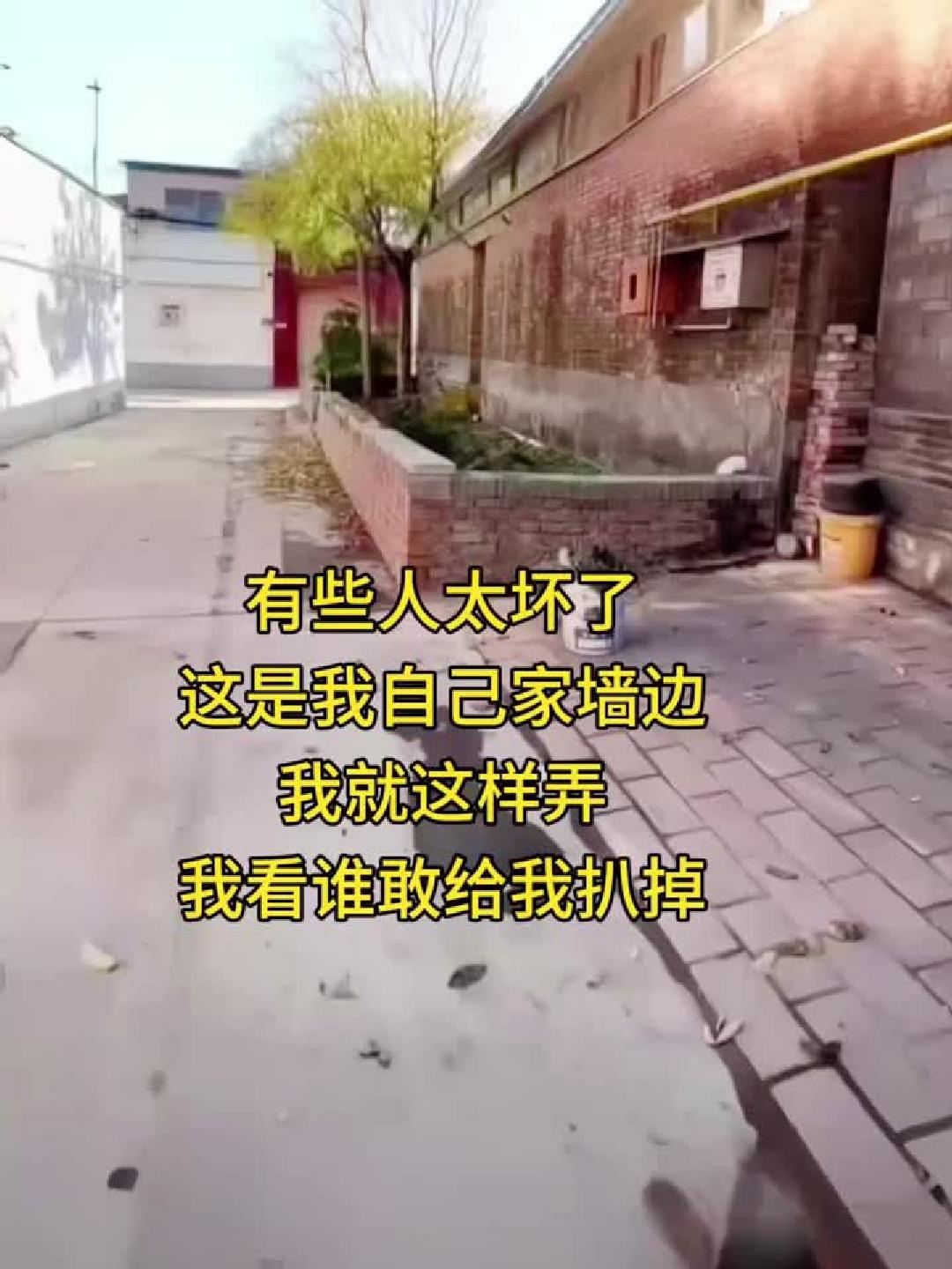 有些人真坏,我弄个小花园还要给我扒掉,我看谁敢